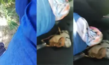 Domalarak Sikilen Baş örtülü amatör katın serisi part 26