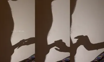 Neslihan Güneş -Dokunurken aldığım zevk😈